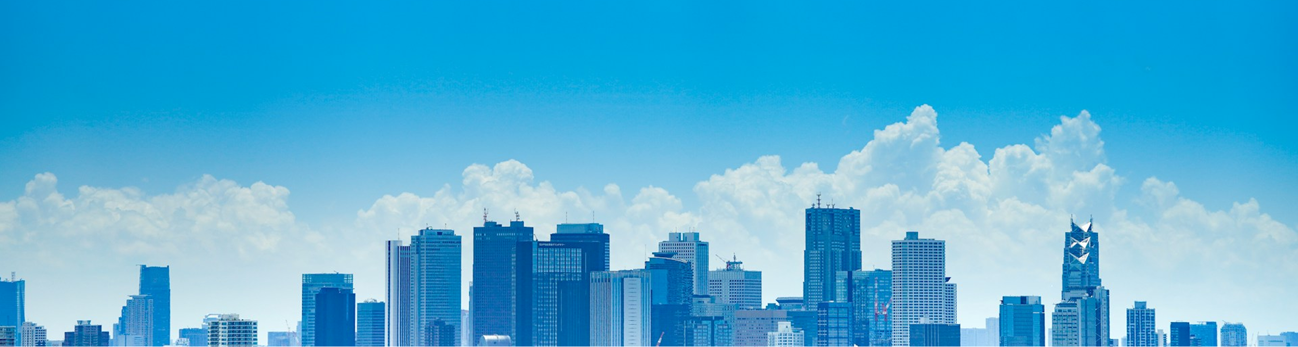 Tokyo Venture Capital Contact